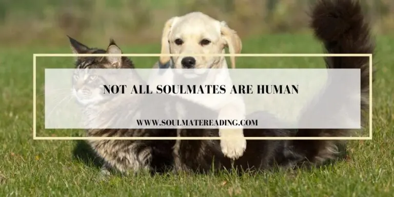 Not All Soulmates are Human